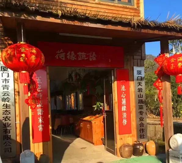 Z6���������ǲ�(�й���)���޹�˾����