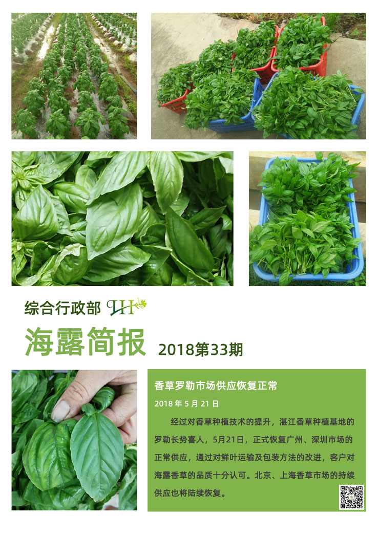 Z6���������ǲ�(�й���)���޹�˾����