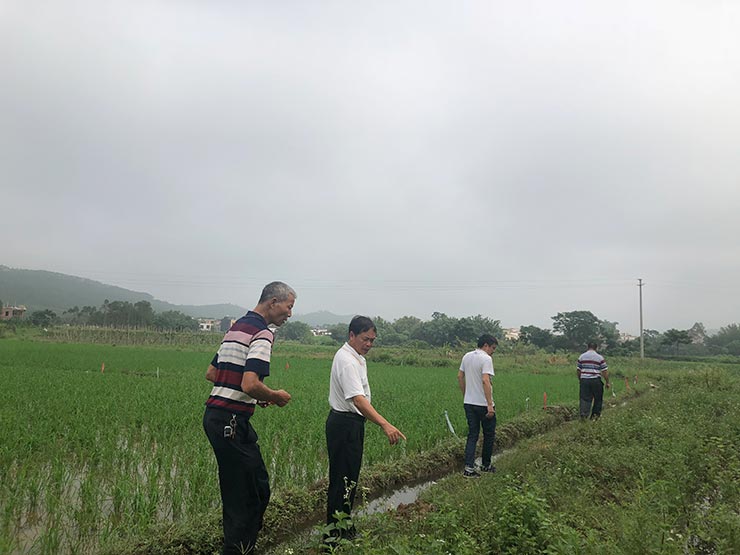 Z6���������ǲ�(�й���)���޹�˾����