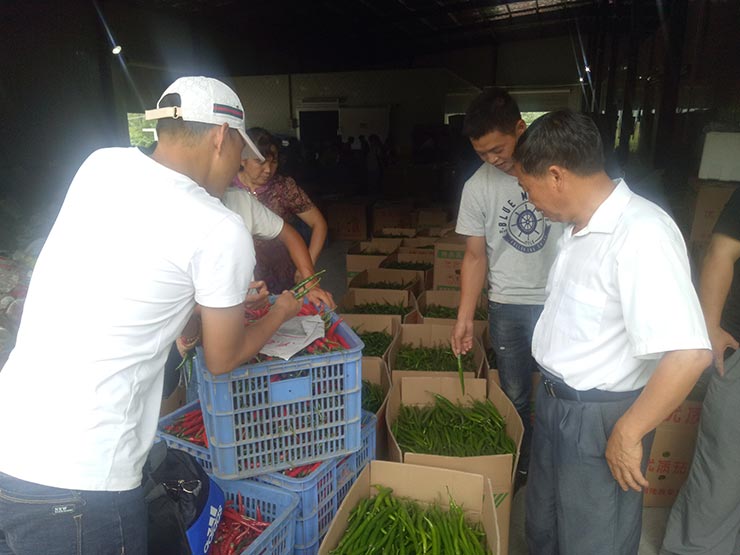 Z6���������ǲ�(�й���)���޹�˾����