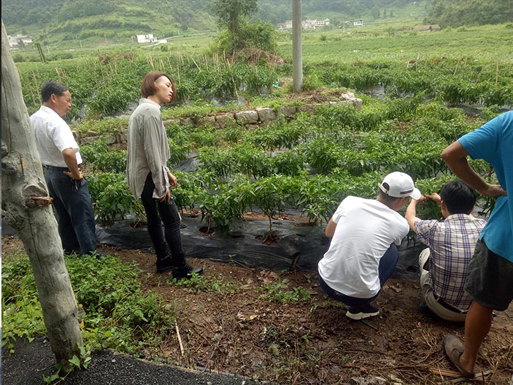 Z6���������ǲ�(�й���)���޹�˾����