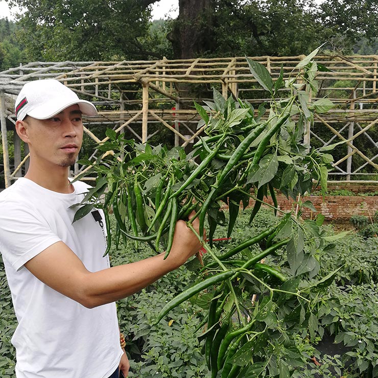 Z6���������ǲ�(�й���)���޹�˾����