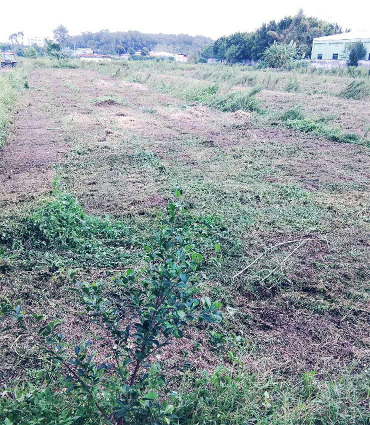 Z6���������ǲ�(�й���)���޹�˾����