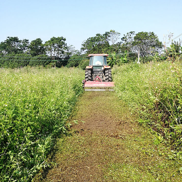 Z6���������ǲ�(�й���)���޹�˾����