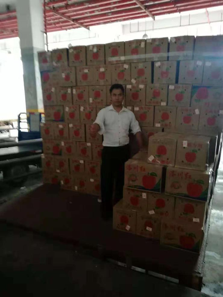 Z6���������ǲ�(�й���)���޹�˾����