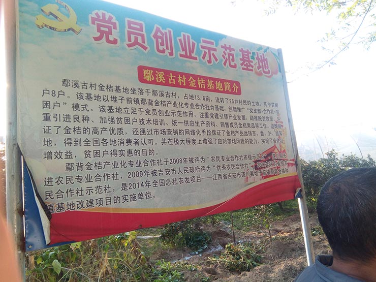 Z6���������ǲ�(�й���)���޹�˾����