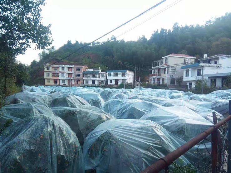 Z6���������ǲ�(�й���)���޹�˾����