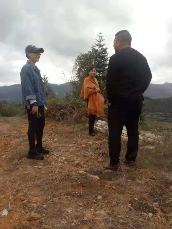 Z6���������ǲ�(�й���)���޹�˾����