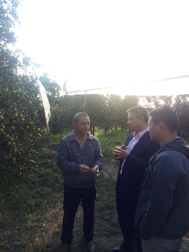 Z6���������ǲ�(�й���)���޹�˾����