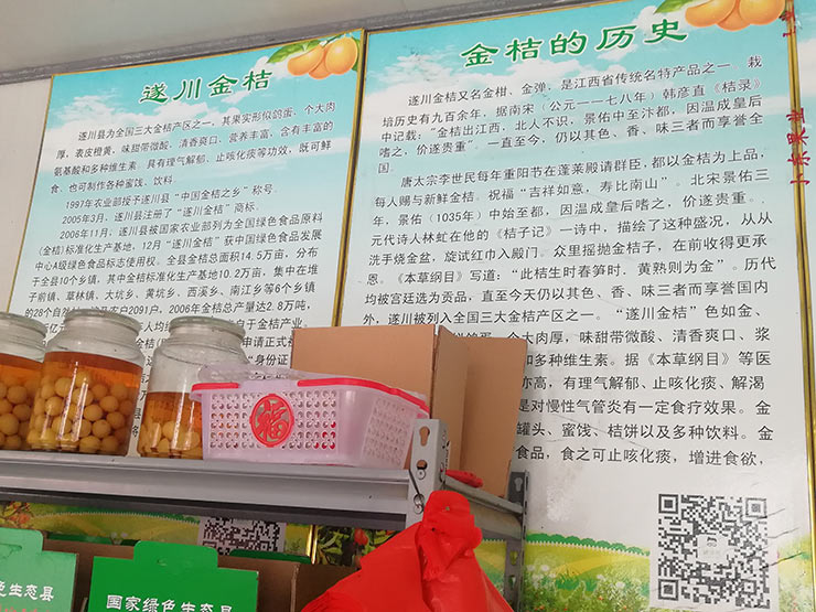 Z6���������ǲ�(�й���)���޹�˾����