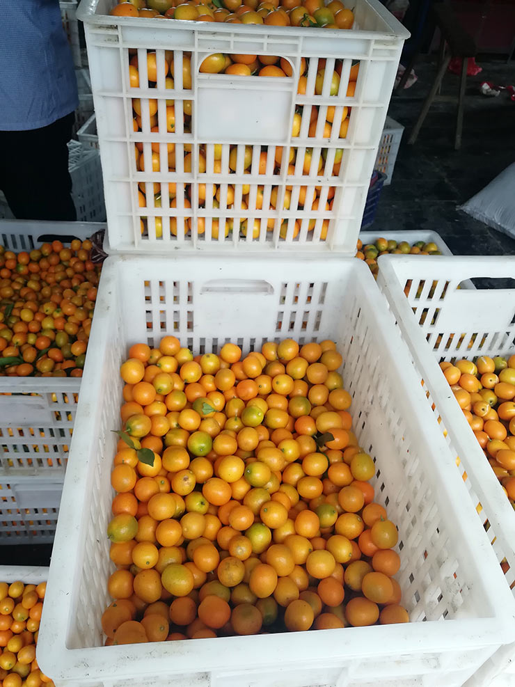 Z6���������ǲ�(�й���)���޹�˾����