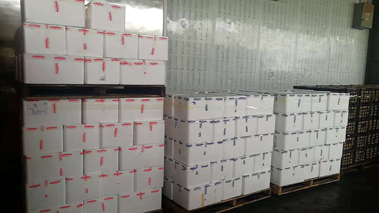 Z6���������ǲ�(�й���)���޹�˾����