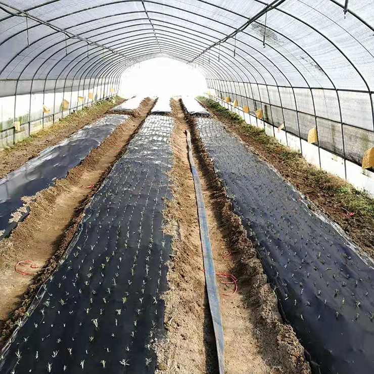 Z6���������ǲ�(�й���)���޹�˾����