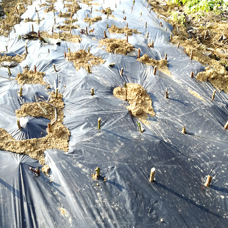 Z6���������ǲ�(�й���)���޹�˾����