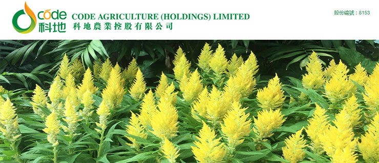 Z6���������ǲ�(�й���)���޹�˾����