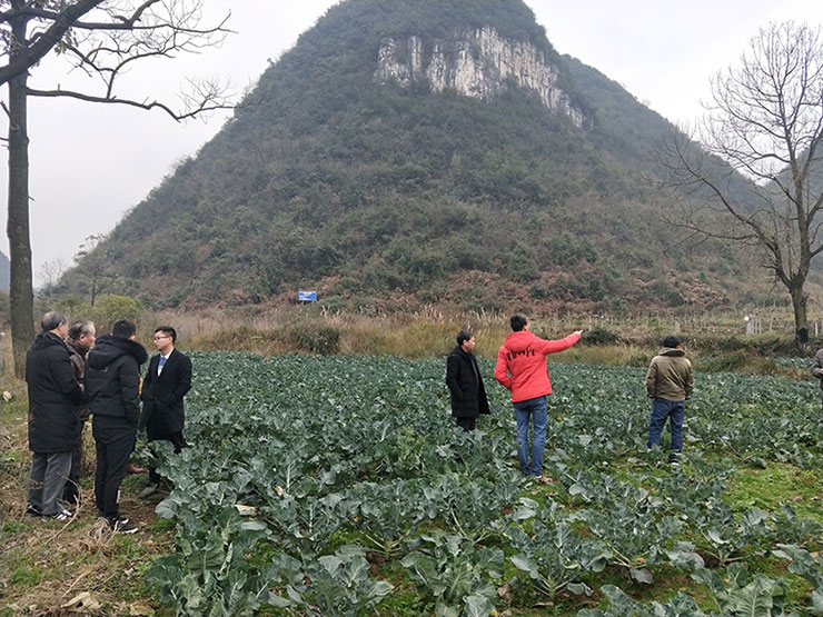 Z6���������ǲ�(�й���)���޹�˾����