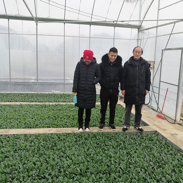 Z6���������ǲ�(�й���)���޹�˾����