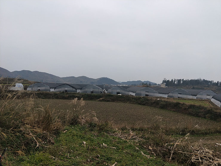 Z6���������ǲ�(�й���)���޹�˾����