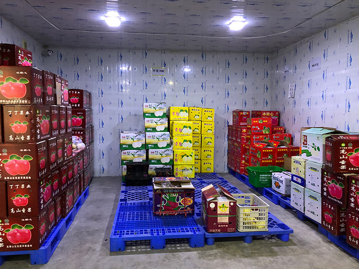 Z6���������ǲ�(�й���)���޹�˾����