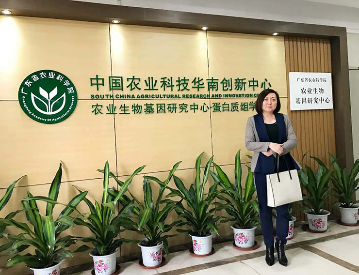 Z6���������ǲ�(�й���)���޹�˾����