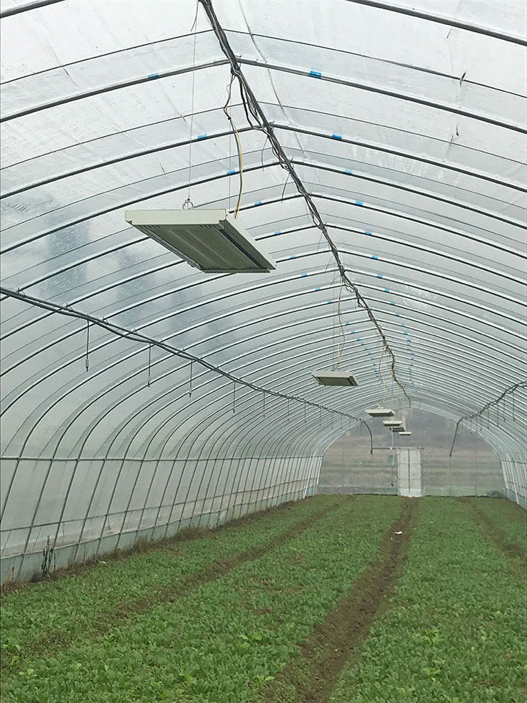 Z6���������ǲ�(�й���)���޹�˾����