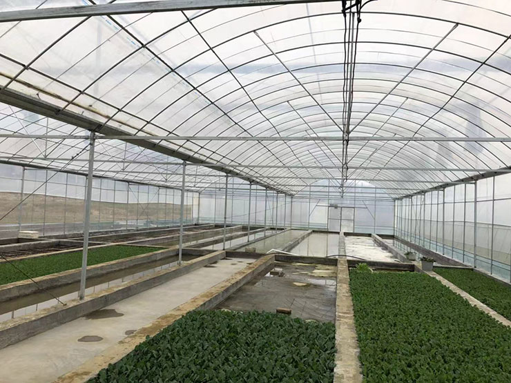 Z6���������ǲ�(�й���)���޹�˾����