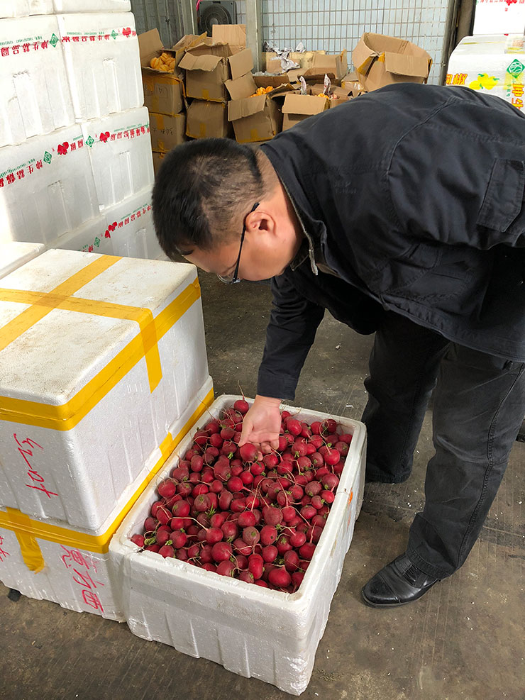 Z6���������ǲ�(�й���)���޹�˾����