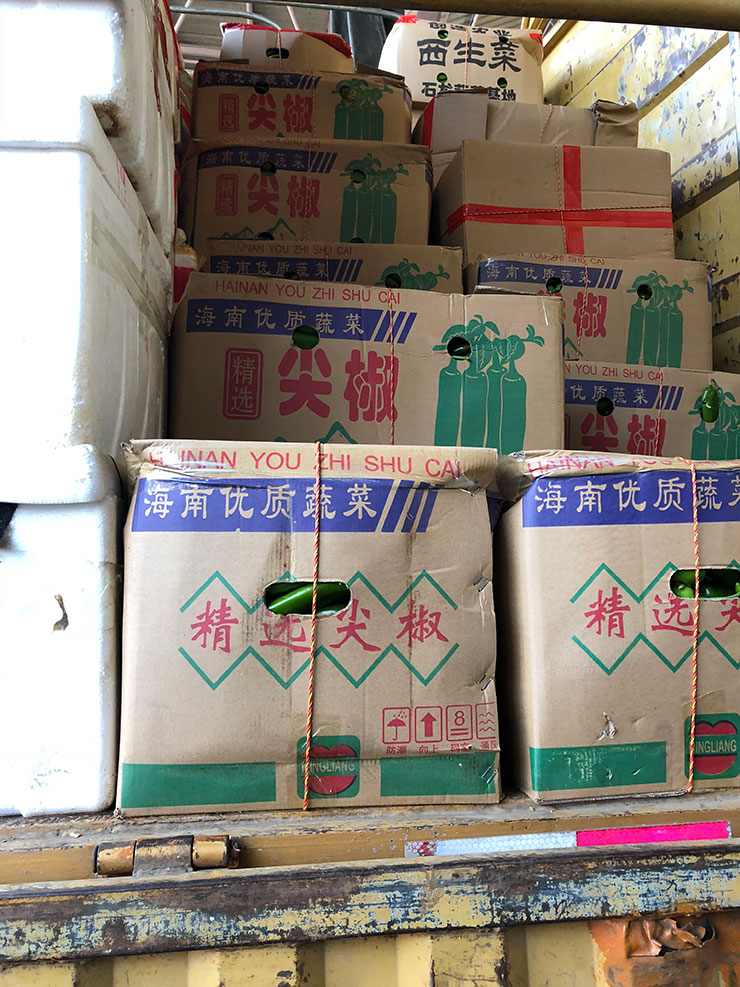 Z6���������ǲ�(�й���)���޹�˾����