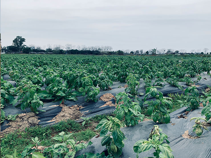 Z6���������ǲ�(�й���)���޹�˾����