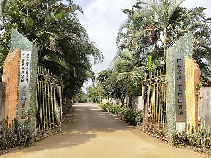 Z6���������ǲ�(�й���)���޹�˾����