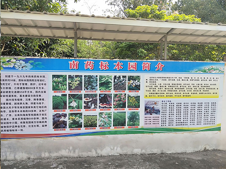 Z6���������ǲ�(�й���)���޹�˾����