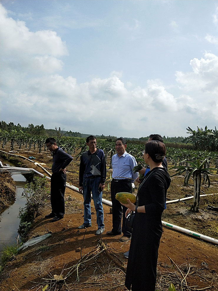 Z6���������ǲ�(�й���)���޹�˾����