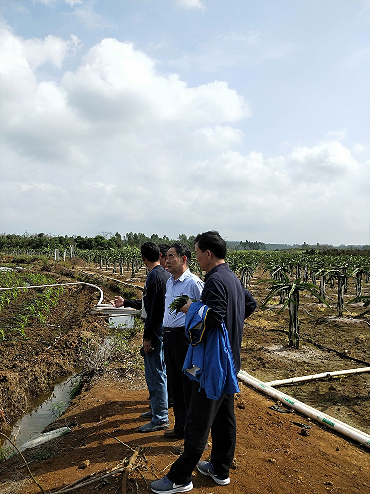 Z6���������ǲ�(�й���)���޹�˾����