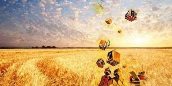 Z6���������ǲ�(�й���)���޹�˾����