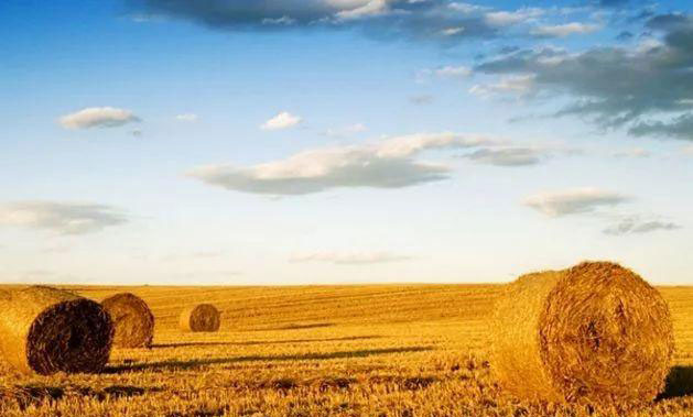 Z6���������ǲ�(�й���)���޹�˾����