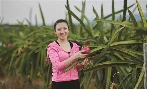 Z6���������ǲ�(�й���)���޹�˾����