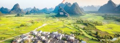 Z6���������ǲ�(�й���)���޹�˾����