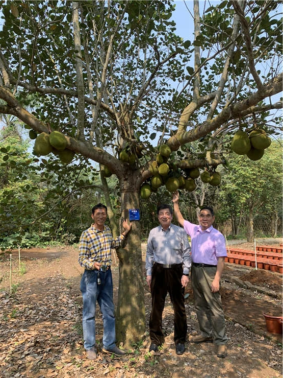 Z6���������ǲ�(�й���)���޹�˾����