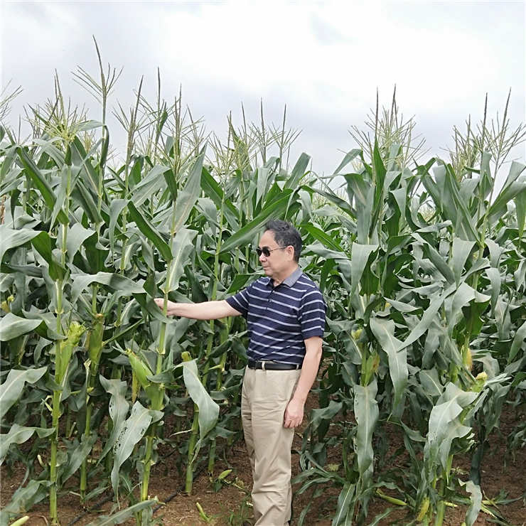 Z6���������ǲ�(�й���)���޹�˾����