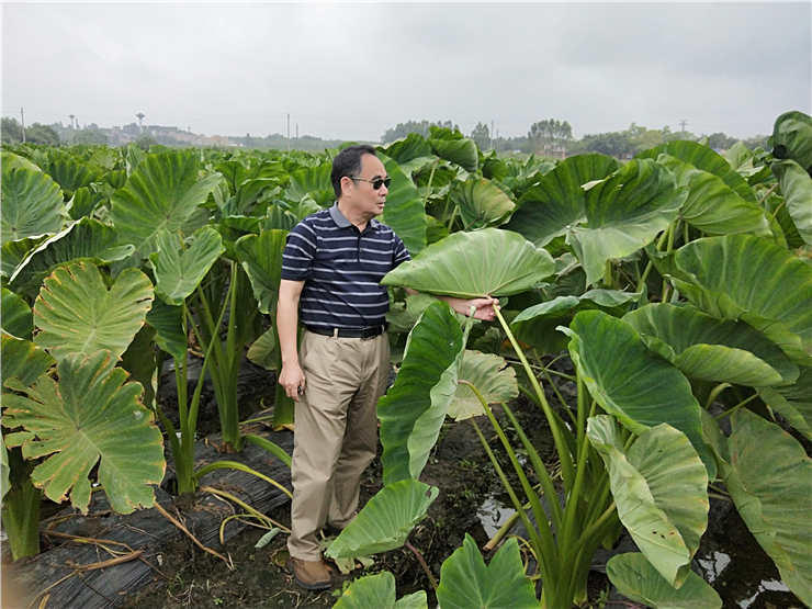 Z6���������ǲ�(�й���)���޹�˾����