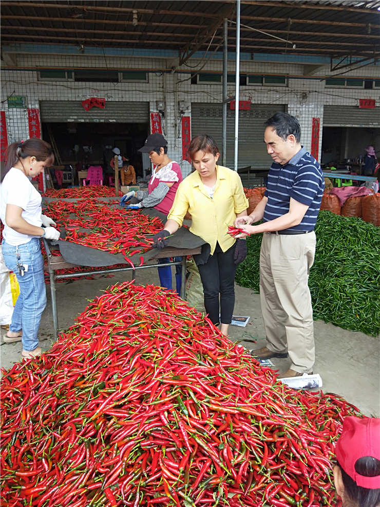 Z6���������ǲ�(�й���)���޹�˾����