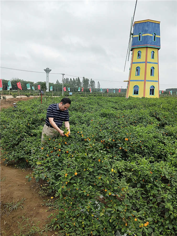 Z6���������ǲ�(�й���)���޹�˾����