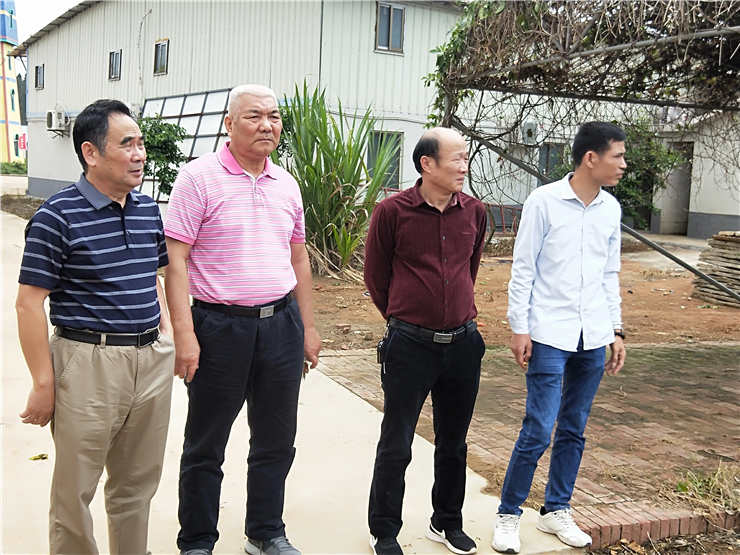 Z6���������ǲ�(�й���)���޹�˾����