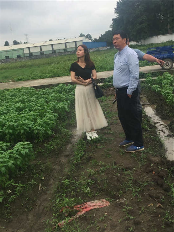 Z6���������ǲ�(�й���)���޹�˾����