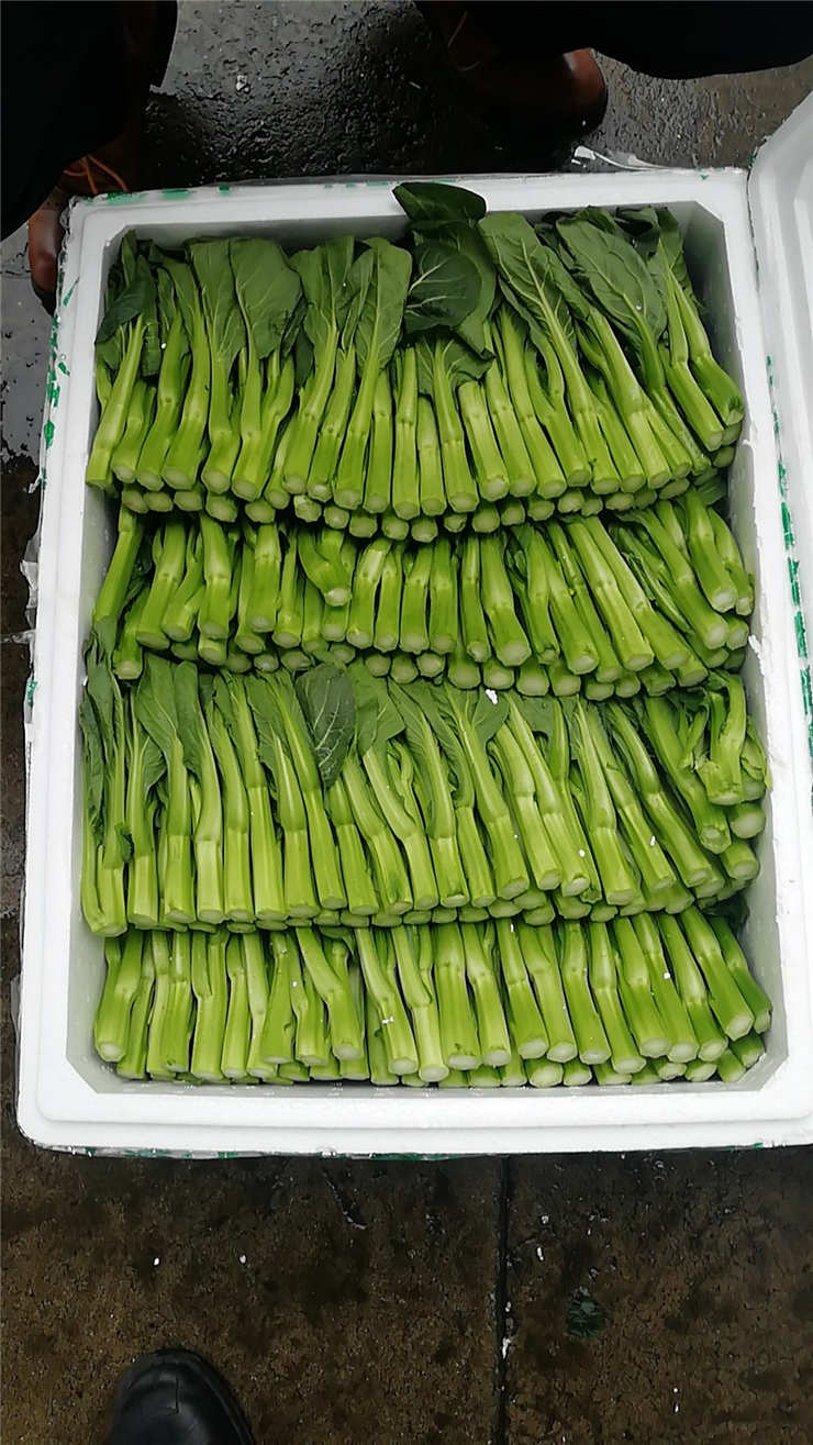 Z6���������ǲ�(�й���)���޹�˾����