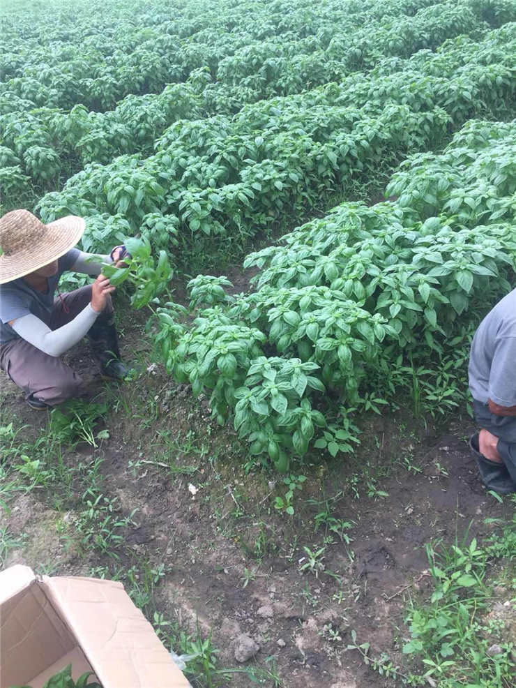 Z6���������ǲ�(�й���)���޹�˾����