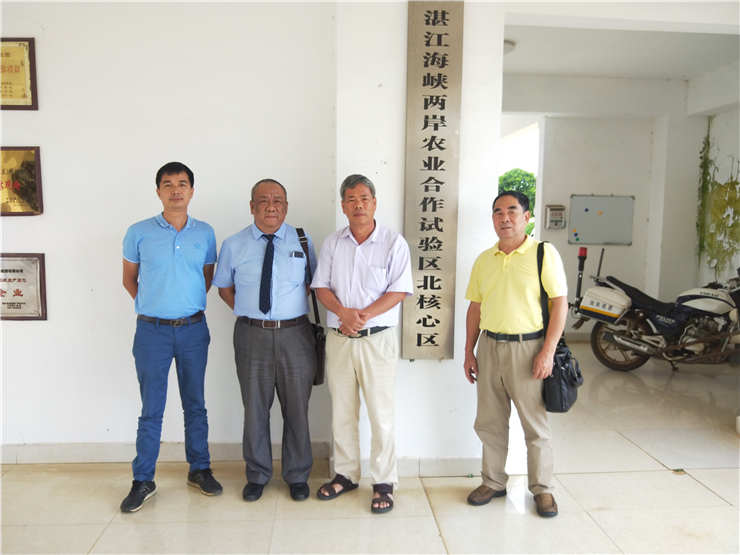 Z6���������ǲ�(�й���)���޹�˾����