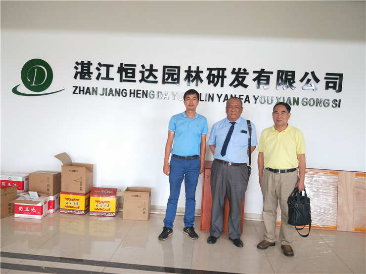 Z6���������ǲ�(�й���)���޹�˾����