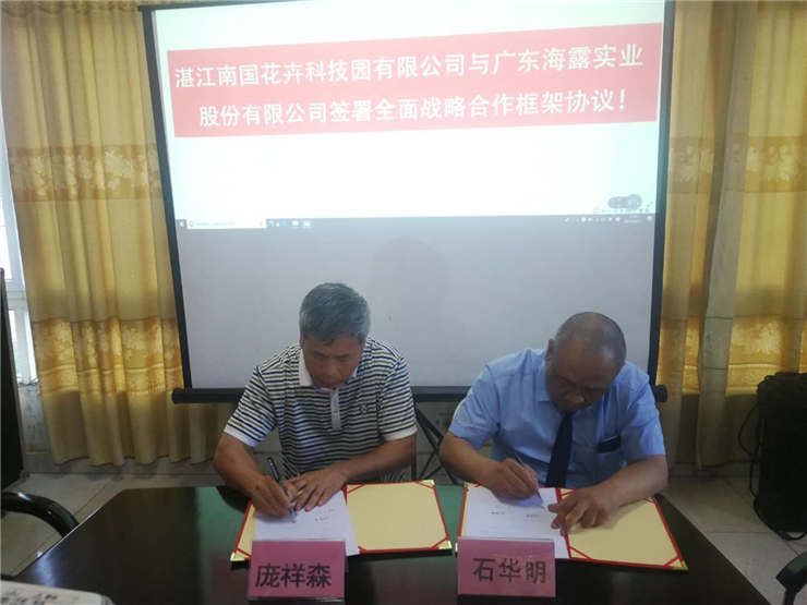 Z6���������ǲ�(�й���)���޹�˾����