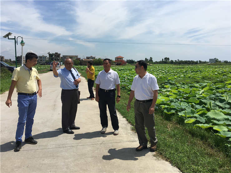 Z6���������ǲ�(�й���)���޹�˾����